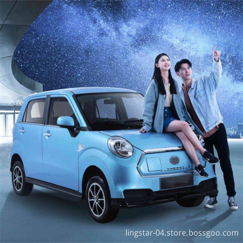 Georgia Oversea warehouse Electric car/Vehicle Multimedia function high speed energy conservation and emission reduction cheap